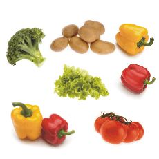 Jak skladovat ovoce a zeleninu ze zahrdky?