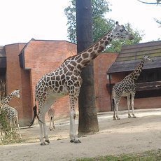 ZOO Liberec