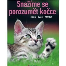 Snažíme se porozumět kočce Snažíme se porozumět kočce
