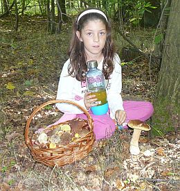 Škola volá Škola volá