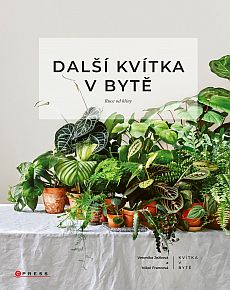 Dal kvtka v byt