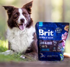 Brit Premium by Nature