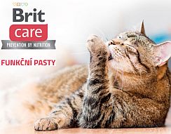 Brit Care Cat