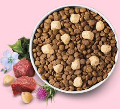 Brit Care Mini RAW DELIGHTS