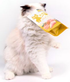 Brit Care RAW Treat 
