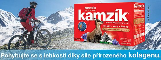 Kamzk