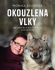 Olouzlena vlky