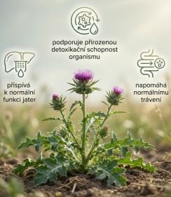 Naturprodukt Silymarin Forte