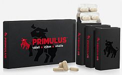 PRIMULUS