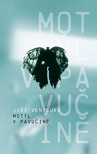 Motýl v pavučině Motýl v pavučině
