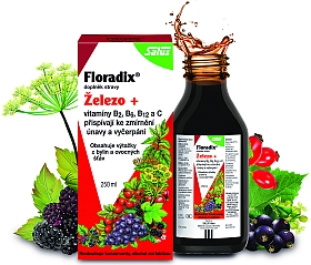 Salus Floradix elezo+