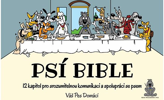 Psi Bible