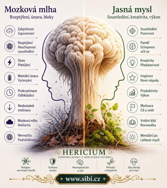 Hericium