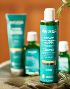 rozmarnov ampon Weleda