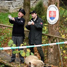 Strážmistr Topinka 3. díl - Zločin na farmě Strážmistr Topinka 3. díl - Zločin na farmě