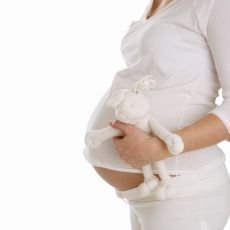 Vdomostn test - Prenatln vvoj
