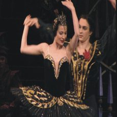 Tereza Podařilová Tereza Podařilová
