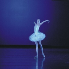 Tereza Podařilová Tereza Podařilová
