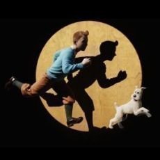 tintin tintin