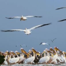 Unik�tn� dokumenty na Prima ZOOM pro 17. t�den