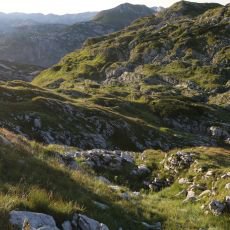 Uniktn dokumenty na Prima ZOOM pro 49. tden