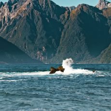 Unik�tn� dokumenty na Prima ZOOM pro 6. t�den