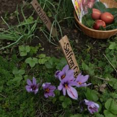 Unik�tn� dokumenty na Prima ZOOM pro 9. t�den