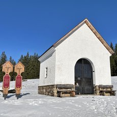 Prom�ny �umavy � mezi Modravou a Filipovou Hut�