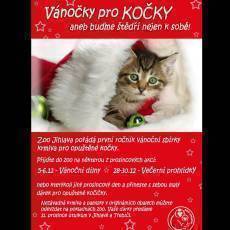 vanocky-pro-kocky