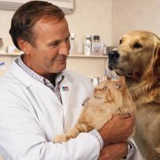 veterinar