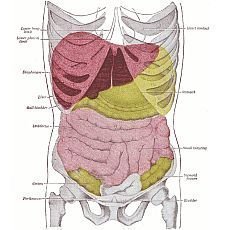 Crohnova choroba