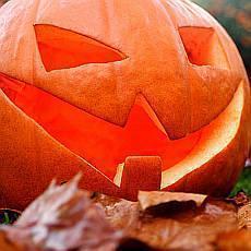 Vdomostn test - Duiky a Halloween