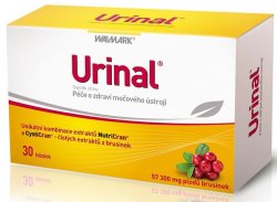 Urinal