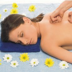 wellness wellness