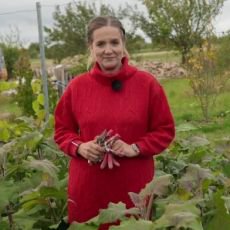 Zahradnice po ruce 30.11. 2025