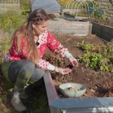 Zahradnice po ruce 7.12. 2025