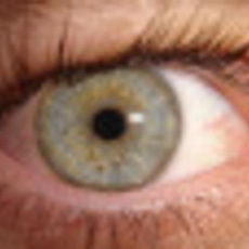 Vdomostn test - Oko a n zrak