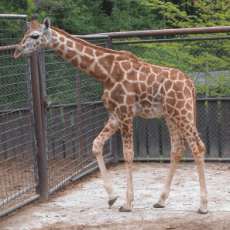 ZOO Olomouc