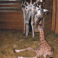 ZOO Olomouc