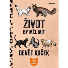 ivot by ml mt devt koek