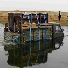 Kon Pevalskho spn zvldli nron transport do Mongolska