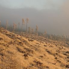 Vysok Tatry