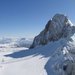 Alpsk ledovce