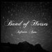 Band of Horses vydvaj album Infinite Arms