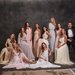 Finálová kampaň soutěže Česká Miss 2015 odstartovala