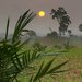 Cestomnie - Stedoafrick republika: Neklidn srdce Afriky