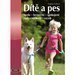 Dt a pes