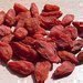 Kustovnice neboli Goji
