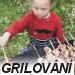 Grilovan plnn kuliky