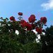 V�domostn� test - V�clav Postr�neck�